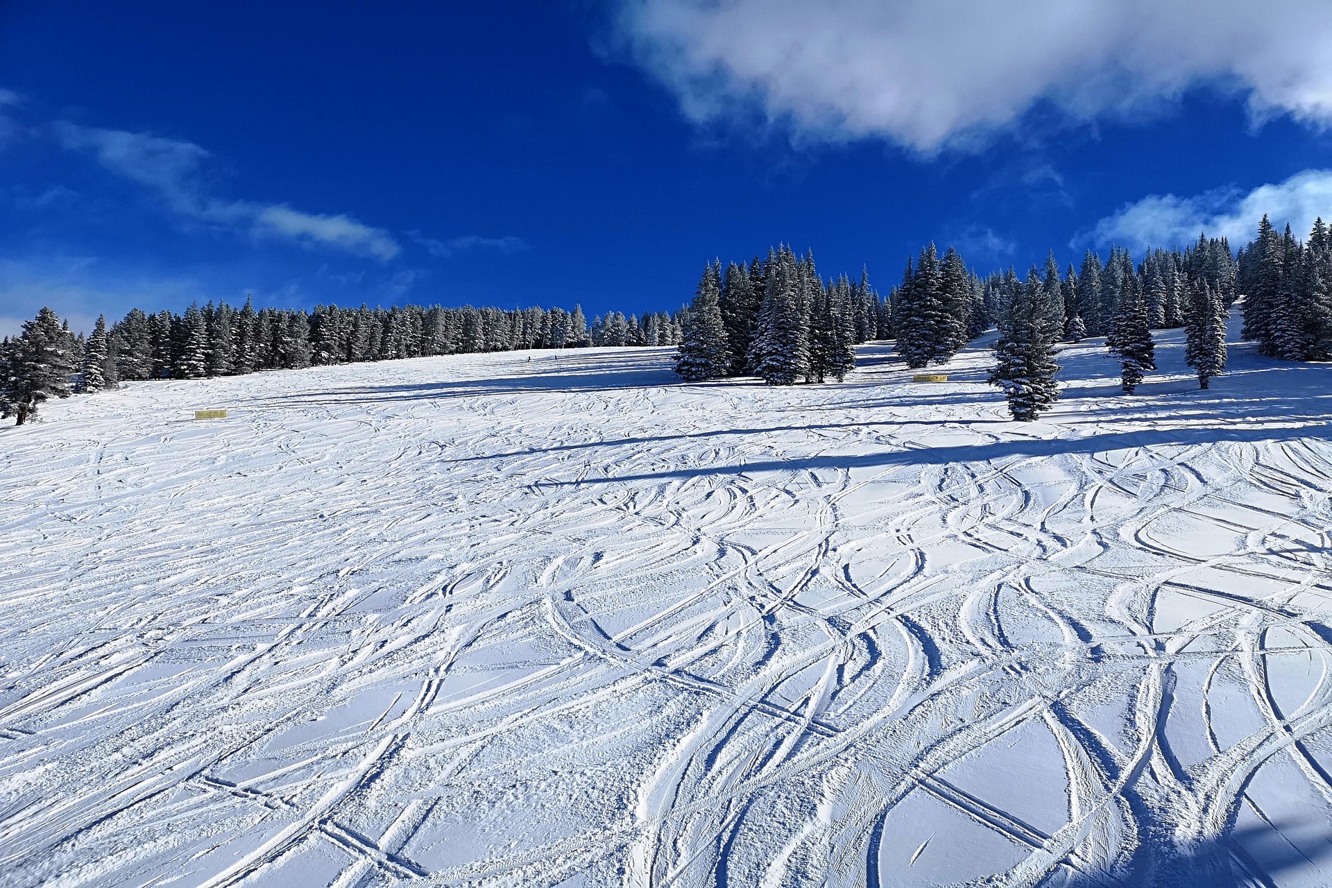 vladozg-vail-3870678_1920 (1)